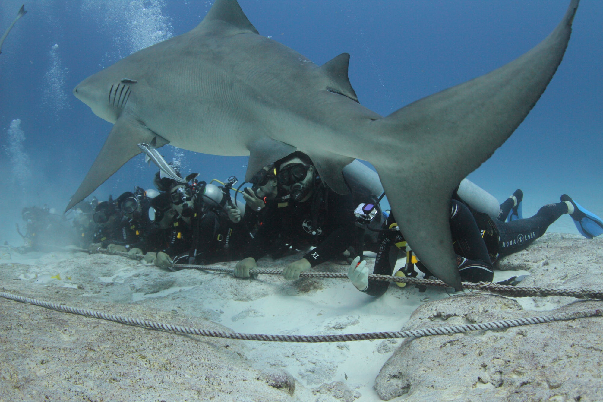 Con base en Isla Mujeres, Quintana Roo.